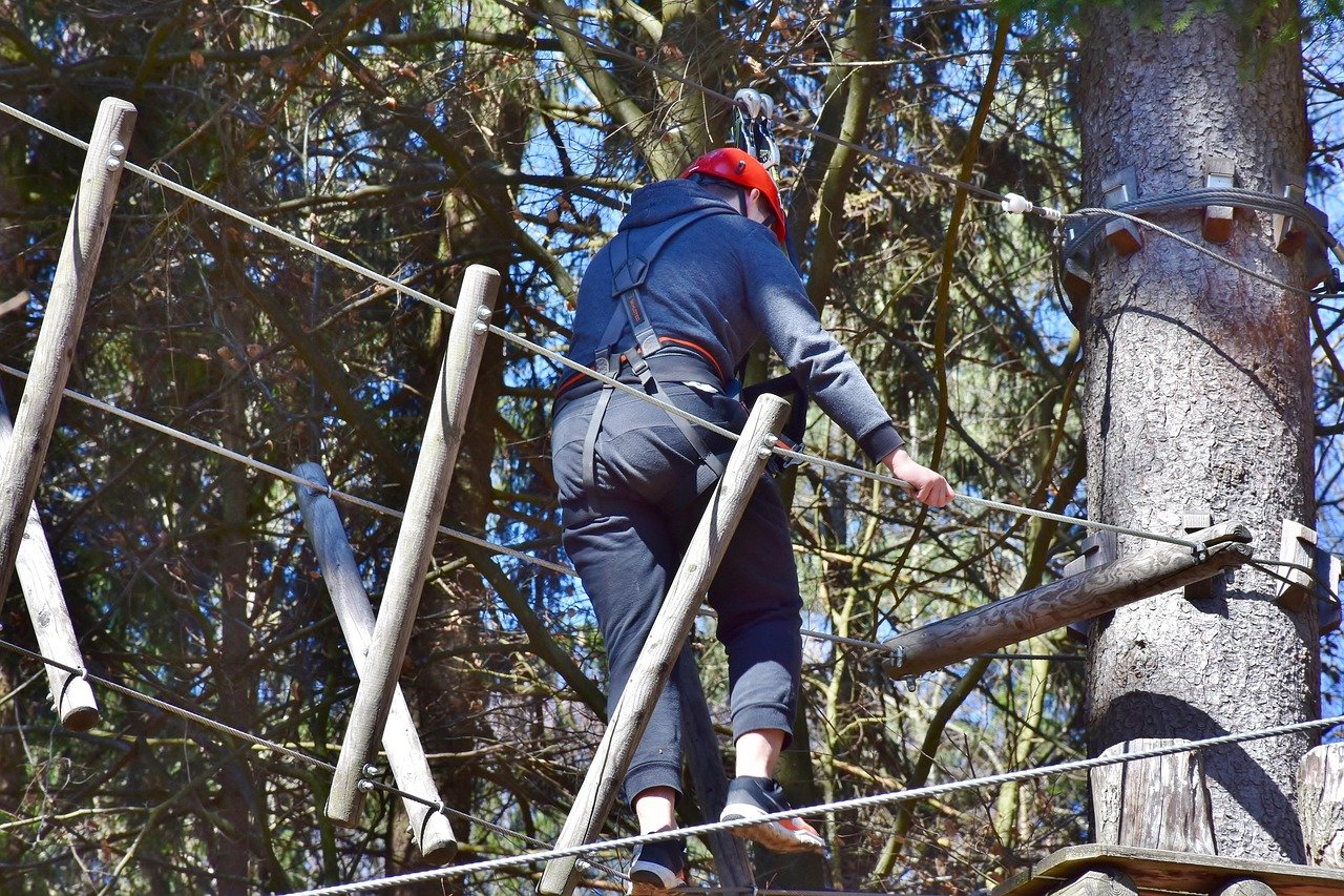 Pont de singe, psychomotricité, équilibre