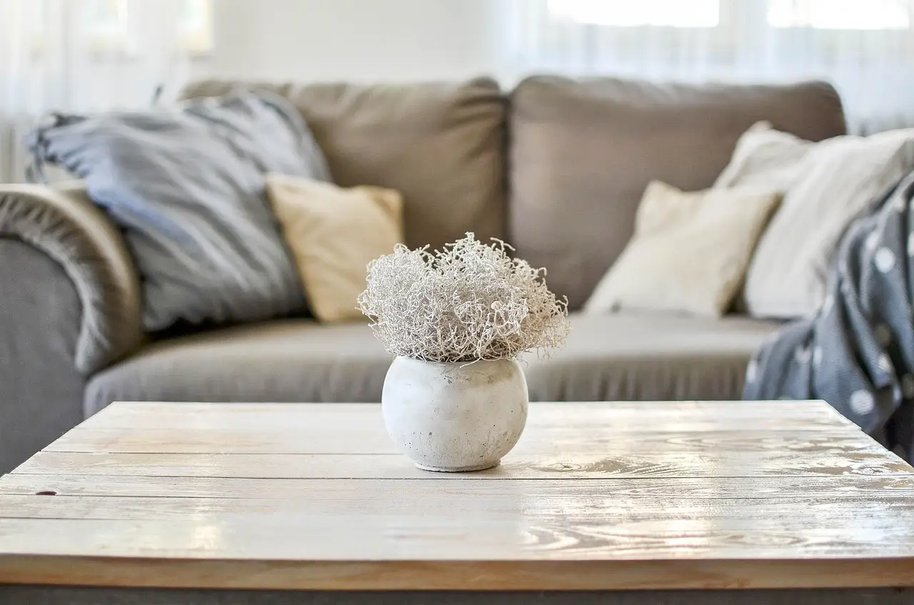 home, housing, interior, decoration, furniture, living room, room, concrete, vase, detail, house, hygge, vintage, rural, design, style, sofa, coffee table, table, homemade, comfortably, living room, living room, living room, living room, living room, hygge, sofa, coffee table, confort, maison